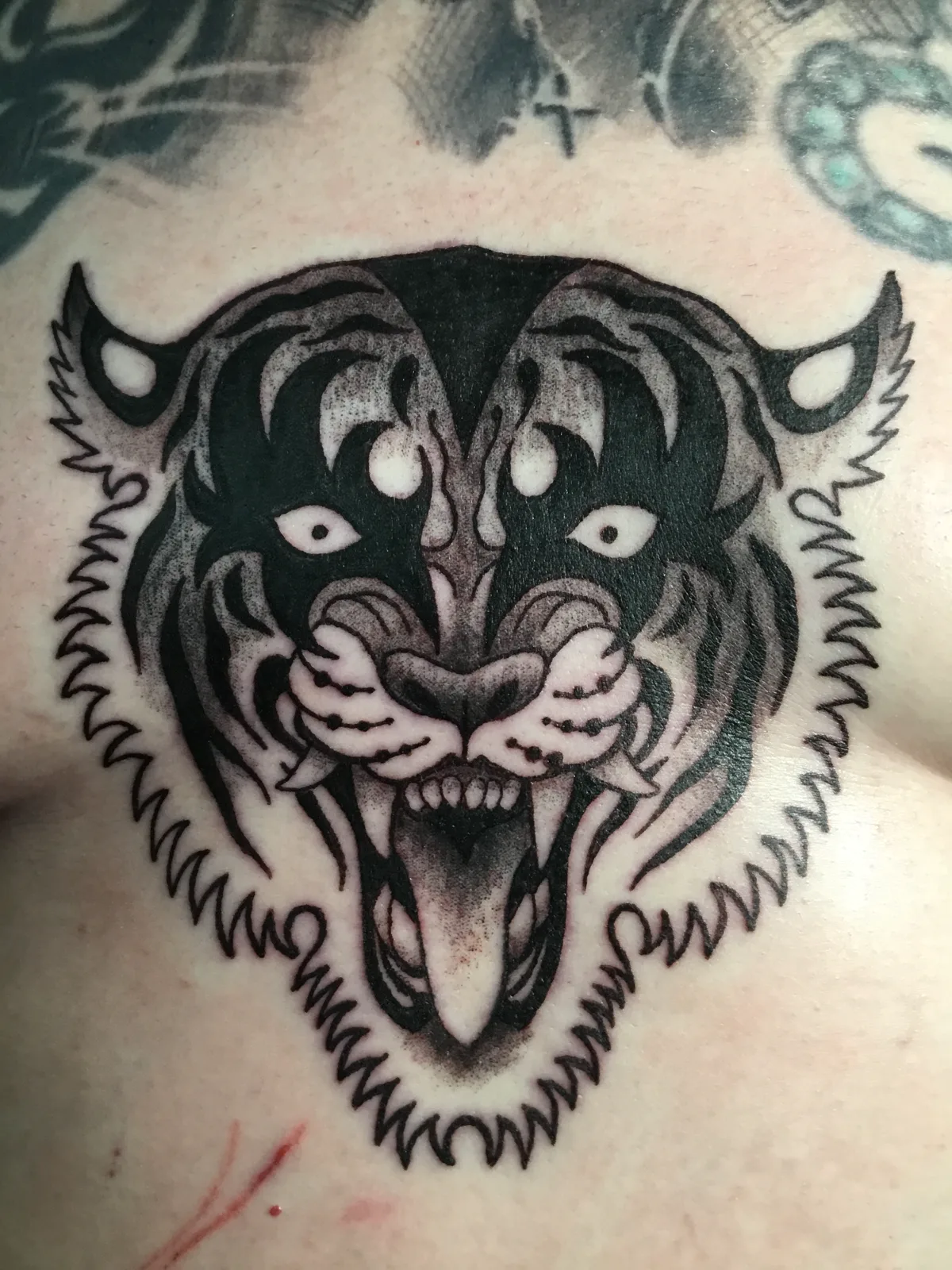 Tribal Tiger — Blackwork tattoo by Erik Payne at Inkvision Tattoo in Boise, Idaho